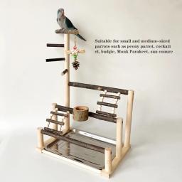 Suporte de poleiro de madeira natural para playground de pássaros, papagaio, com bandeja de aço inoxidável, escada, copo de alimentação para pássaros, acessórios de suprimentos - Image 1