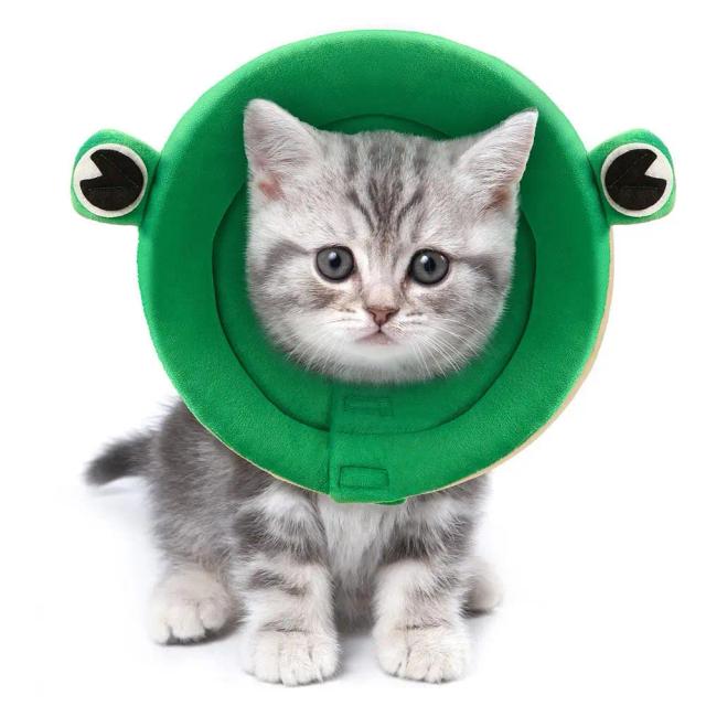 Coleira Elizabetana em Forma de Sapo para Gatos: Colar Protetor Anti-Risco e Anti-Lamber para Convalescença
