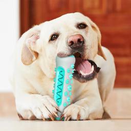 Brinquedos interativos para mastigar dentes para animais de estimação Brinquedo molar Escova de dentes para cachorros e gatos Resistente a mordida Cães pequenos e grandes Preço - Image 5