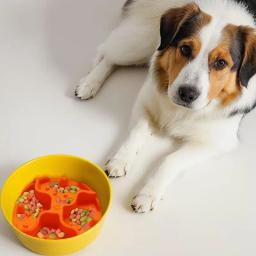 Tapete de alimentação lenta para cães, Almofada Slow Food com ventosa, Dog Crate Lick Pads, Brinquedo de treinamento para cão médio - Image 4