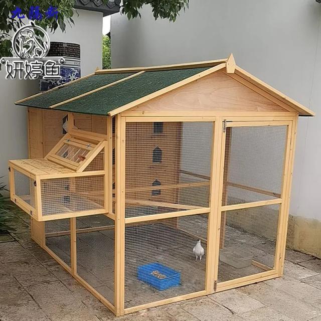 Gaiola Externa para Papagaio e Pombo em Madeira Maciça, Resistente à Chuva e ao Sol, Ideal para Reprodução