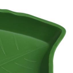 Prato água para répteis, tigela comida para animais estimação, aranha, escorpião, camaleão, répteis, anfíbios, 2 - Image 4