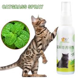 Cat Catnip Spray saudável ingredientes, gatinhos hortelã, Pet Toy, saudável, engraçado, suprimentos naturais, gatos arranhando, gatinho, A6P2, 1 pc - Image 2