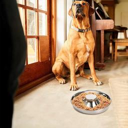 Tigelas de alimentação lenta em aço inoxidável para animais de estimação, tigela de comida e água antiderrapante, alimentação e desmame para cães e gatos pequenos e médios - Image 5