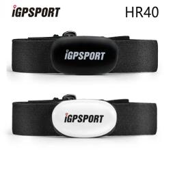 IGPSPORT HR40 Braço Sensor de Velocidade de Freqüência Cardíaca Sem Fio Saúde Fitness Inteligente Bicicleta Monitor de Freqüência Cardíaca Alça de Mão Bluetooth ANT + - Image 2