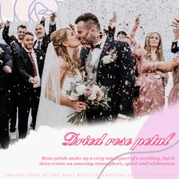 Confete de casamento para festa, flor seca natural, decoração de casamento biodegradável, festa de aniversário, pétala de rosa vermelha, DIY, biodegradável - Image 6
