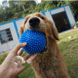 Squeaky Sound Pet Toy Ball, Brinquedos de Limpeza de Dentes, Três Modelos para Cães Pequenos, Médios e Grandes, Pacote de 6 Acessórios para Cães - Image 4