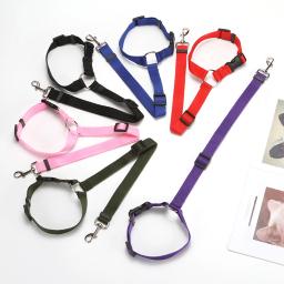 Pet nylon trela suprimentos, trela do cão, corda de tração gancho duplo, cinto de corrida, cintura ajustável imitação, gancho de aço inoxidável - Image 2
