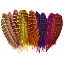Combinações multicor, ganso Avestruz Penas Artesanato, frango, Turquia, pavão pena, acessórios de artesanato, muitos tipos - Image 4