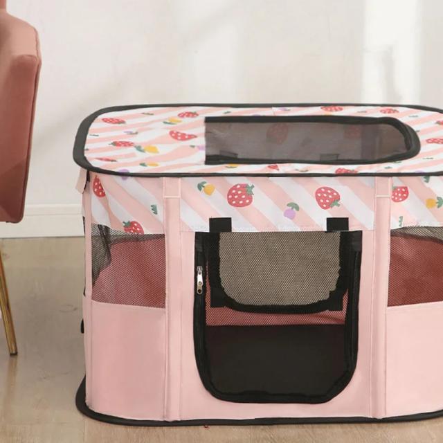 Gaiola Tent Retangular para Gatos: A Solução Perfeita para Entrega e Conforto dos Seus Filhotes