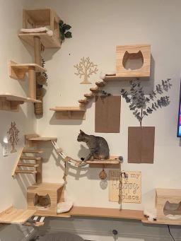 Prateleira de escalada na parede para gatos, Escada com corda de sisal, Arranhador, Árvore para dormir gatinho, Steps Furniture - Image 1