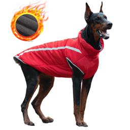 CDDMPET-Casaco impermeável para cães grandes, roupas quentes para animais de estimação, casaco para cães grandes, buldogue francês, traje Pug, Labrador, inverno - Image 2