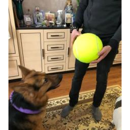 Bola de tênis inflável gigante para cachorro, Chew Toy, Pet Dog Brinquedos interativos, Big Cricket Supplies, ao ar livre, 24cm - Image 2