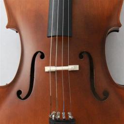 Chinês boa qualidade cordas violoncelo instrumentos para venda violoncelo madeira maciça - Image 6