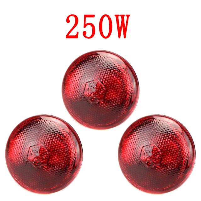 Lâmpada de Aquecimento Infravermelho 220V para Aves, Répteis, Plantas e Anfíbios - 100W, 150W, 200W e 275W Ideal para Pets e Gado.