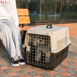 Caixa de ar exterior portátil do transporte do animal de estimação, gaiola grande do cão do carro, gato, gaiola pequena e média do gato - Image 3