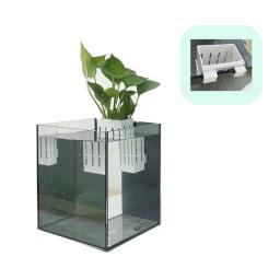Parede montada planta aquática crescente cesta, suporte do tanque de peixes, aquário hidropônico Planta Copos, 1pc - Image 6