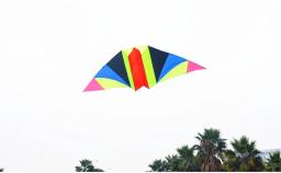 O envio gratuito de 2p 25m dupla linha stunt power kite pulseira diversão ao ar livre brinquedos voando albatroz pipas fábrica parapente - Image 5