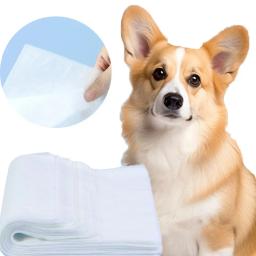 Papel de Pee Pet Inalação Instantânea Descartável, Pet Training Toilet Supplies, Dog Pee Pad, Tecido Não Tecido, 10 Pcs - Image 3
