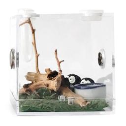 Caixa de alimentação transparente para répteis, terrário para lagarto, recipiente reprodutores para sapo-aranha e escorpião, terrário vivo, 1pc - Image 2