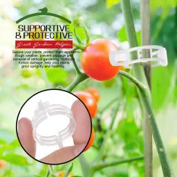 Clipes De Suporte De Plantas, Clipes De Tomate, Clipes De Jardim Reutilizáveis, Suporte Videiras De Uva, Frutas e Plantas Vegetais, 100 Unidades, 200 Unidades - Image 2