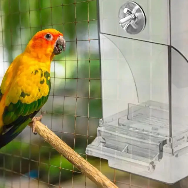 Alimentador Automático para Pássaros: Praticidade e Conforto para Papagaios, Periquitos e Canários