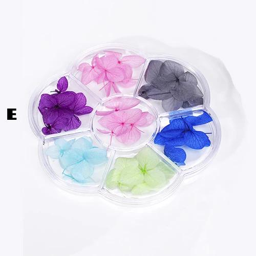 Decoração de Unhas com Flores Secas Naturais: Adesivos 3D em 6 Cores com Folhas Florais para Manicure Artesanal