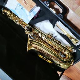 Saxofone Alto profissional com caso acessórios, um em um modelo, E-Flat, instrumento de música, melhor qualidade, novo, 480 - Image 6