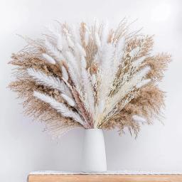 Real Natural Buquê De Flores Secas, Pampas Reed, Pequeno Reed, Rabbit Tail Grass, Home Decor, Mix and Match - Image 2