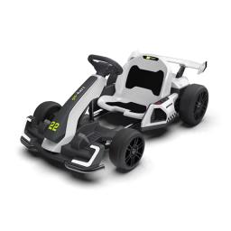 Carros elétricos de corrida, karting, 300w, condução dupla, pedal de grande potência, drift elétrico, karts para crianças e adultos, bateria 24v 5ah - Image 3