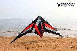 250cm profissional dublê kite falcon pipas voando ballet formação kite fábrica freilein pipa linha dupla para adultos pipa de energia - Image 4