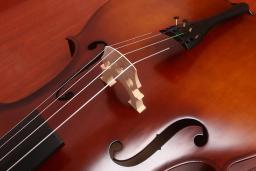 Profissional Matte Basswood violoncelo com Caixa Dura, Violoncelo Estudante, Instrumento de Cordas, Iniciante, Iniciante, 4/4, 1/2, 1/4, 1/8 - Image 4
