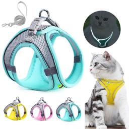 Arnês respirável para cães pequenos e gato, coleira refletora, ajustável, alça de peito, para gatinho, tamanho xxs-l - Image 1
