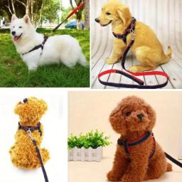 Conjunto de três peças de trela ajustável para cães, peito e coleira traseira, adequado para cães de pequeno e médio porte - Image 6