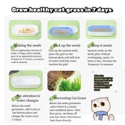 Catgrass hidropônico para planta verde interior, sementes de trigo para gatinhos, lanche de gato, pote claro, pronto para comer, pet snacks - Image 4