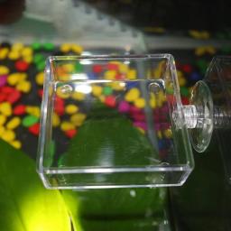 Prato De Alimentação De Vidro Para Peixes Tropicais Alimentador De Aquário, Bandeja Redonda Clara, Reduzir Sucatas De Alimentos, Ferramentas Do Tanque De Peixes, Ratfish - Image 3