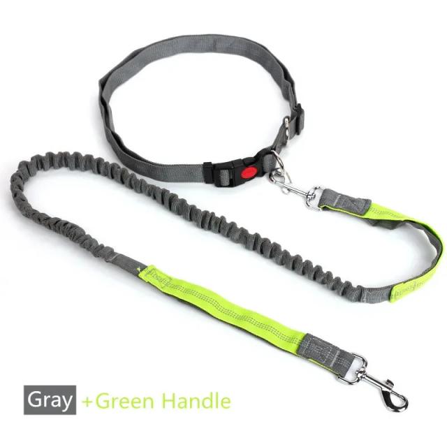 Trela Retrátil para Cães Grandes com Corda Ajustável para Ciclismo e Corridas - Conforto e Liberdade para seu Pet