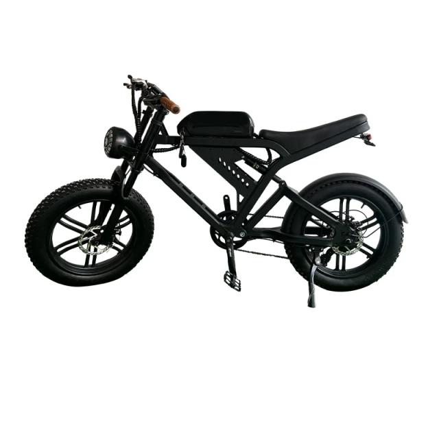 Bateria de lítio para bicicleta de neve de montanha ajuda a homens e mulheres com deslocamento de velocidade variável, bateria leve, bicicleta elétrica