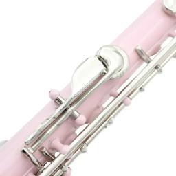 Pink C Key Flauta Aberta Fechada, Concerto Banhado a Prata, com Caixa, Pano de Limpeza, Luvas Vara, 16 Buracos - Image 6