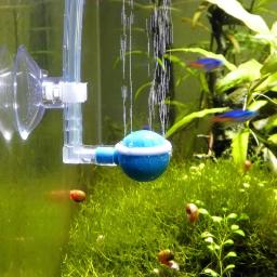 5 pçs aquário otário ventosa para 4mm linha de ar tubo fio titular usado otário para superfície de vidro peixe supples novo - Image 4
