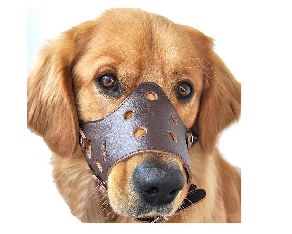 Focinho de couro macio para cães, anti-morder, seguro, ajustável, respirável, animal de estimação, pequenos, cães grandes, ajuda a beber e comer - Image 1
