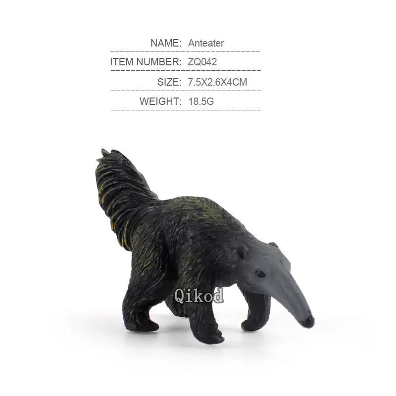 Simulação realista floresta animais selvagens modelo anteater emu platypus grande kiwi aves e ornamento de mão animal estatueta presente para o miúdo - Image 1
