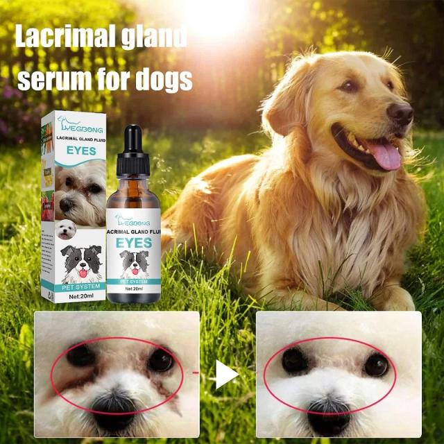 Removedor de manchas de lágrima para cães: limpeza eficaz e segura com ingredientes suaves