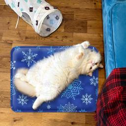 Tapete de resfriamento lavável para animais de estimação, cobertor, sofá, cama, almofada, cães pequenos, médios, grandes, gatos - Image 3
