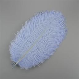 10 pçs colorido pena de avestruz artesanato acessórios apanhador de sonhos decoração jóias criação natural pluma mesa peças centrais - Image 4