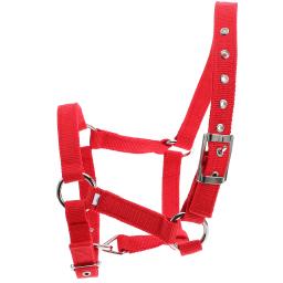 Crianças treinamento equestre ajustável engrossado cavalo halter equipamento macio webbing durável náilon versátil - Image 1