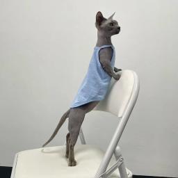 Multicolor Sphynx Pet Clothes para gatos, Roupas de gatinhos de algodão, Gatos sem pêlos Camisola, Soft Devon Rex Vestuário, Colete de gatinho - Image 5