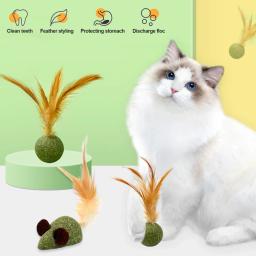 Menta comestível Catnip Ball para Pet, Hortelã Gato Saudável Jogo de Perseguição Doméstica, Produtos de brinquedo Suprimentos de limpeza de dentes - Image 2