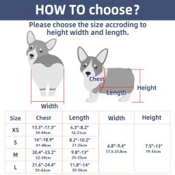 Ajudas de Mobilidade Ajustável para Animais de Estimação com Deficiência, Big Wheel Dog Wheelchair para Pernas Traseiras, Perna e Suporte para Quadril, Adaptável - Image 6