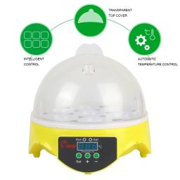 Incubadora automática inteligente de temperatura constante de 7 peças de tamanho pequeno para incubar galinhas, patos e codorniz. - Image 4